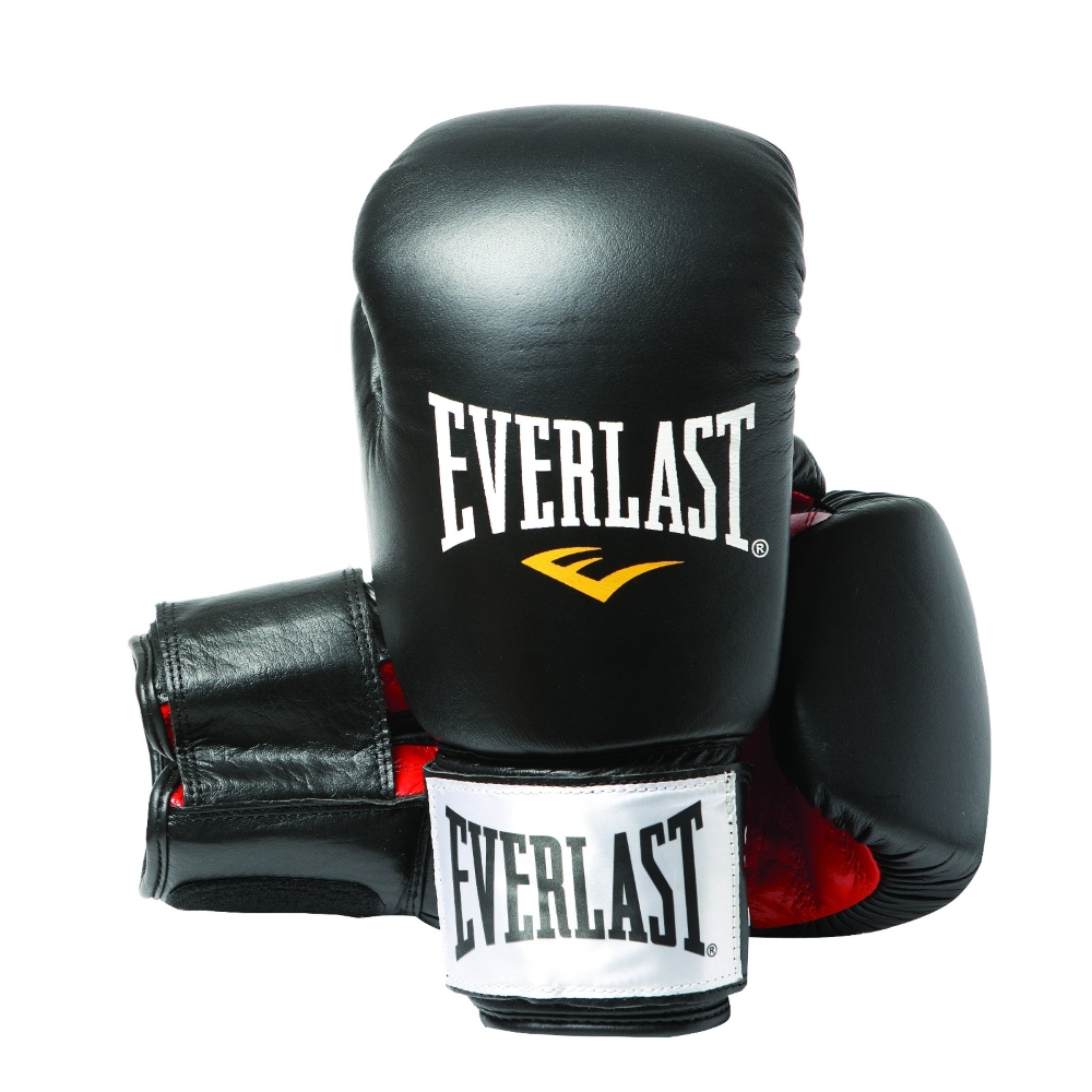 Boxerské rukavice Everlast Fighter - inSPORTline