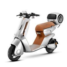 Electric Scooter Stardust 25