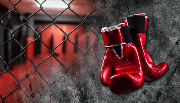 Boxerské rukavice a MMA rukavice – Výpredaj, Akcia - inSPORTline