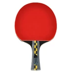 Ping pong ütő Joola Carbon Pro