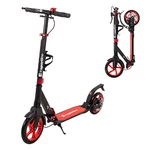 Folding Scooter inSPORTline Discola - Red