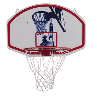Basketball Hoop with Backboard Spartan