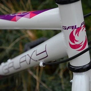 Junior Girls’ Bike Galaxy Ruby 24” - 2015