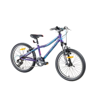 Lány kerékpár Devron Riddle LH0.2 20'' - 2017 modell - deep purple