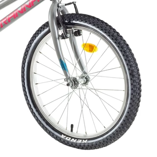Children’s Bike DHS Terrana 2002 20” – 3.0