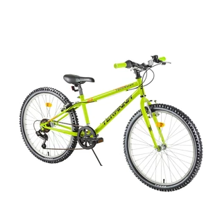 Junior Bike DHS Teranna 2421 24” – 2018 - Light Green
