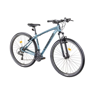 Mountain Bike DHS Teranna 2923 29” – 2019 - Light Blue