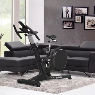 Exercise Bike inSPORTline ZenRoute 1000