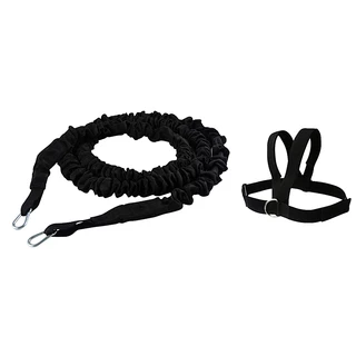 Exercise Band inSPORTline RS1300