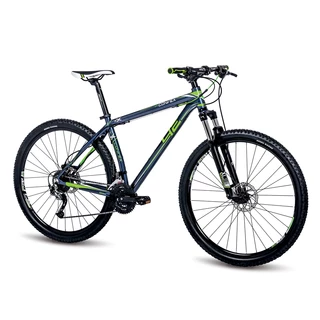 Mountain Bike 4EVER Convex Disc 29” – 2016 - Blue-Green