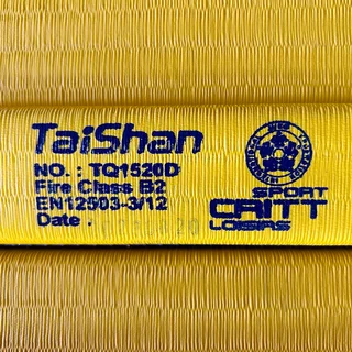 Judo Mat Taishan 200 x 100 x 5 cm Yellow