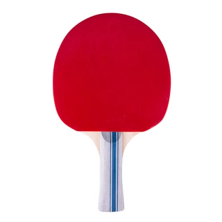 Table Tennis Paddle inSPORTline Ratai S1