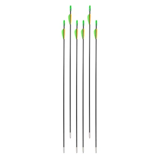 Fiberglass Arrows inSPORTline Klarkson 30” – 6 Pcs.