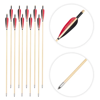 Bow Fishing Arrows inSPORTline Carpson – 12 Pcs.