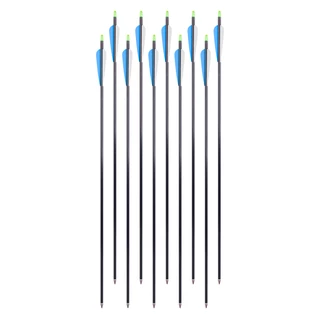 Aluminum Arrows w/ Screw-In Tips inSPORTline Aluson 30” – 10 Pcs.