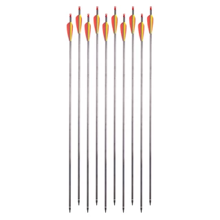 Carbon Arrows w/ Screw-In Tips inSPORTline Carbison 30” – 10 Pcs.