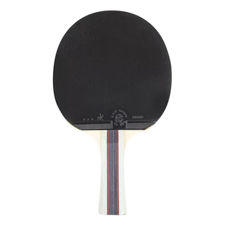 Ping-pong szett inSPORTline Reshoot S3