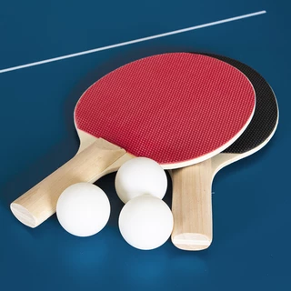 Table Tennis Table inSPORTline Sunny Mini