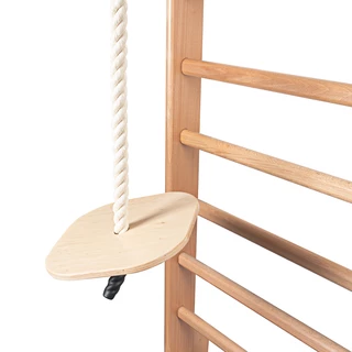 Hanging Swing for Wall Bars