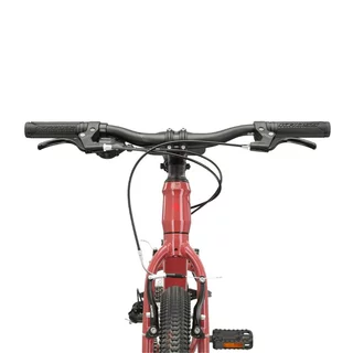 Juniorský dievčenský bicykel Kross LEA JR 1.0 24" - model 2024 - bordo