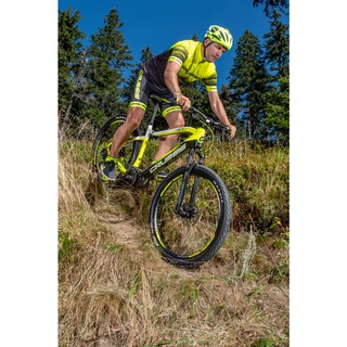 Mountain E-Bike Crussis e-Largo 8.6-S – 2021