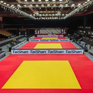 Judo Mat Taishan 200 x 100 x 5 cm Yellow