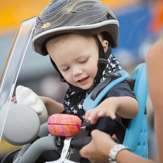 Bicycle Child Seat Thule Yepp Mini
