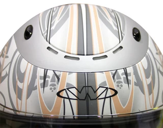 V170 Motorcycle Helmet