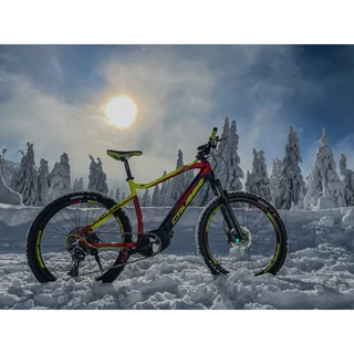 Mountain E-Bike Crussis e-Atland 8.6-S - model 2021