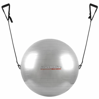 Gimnastična žoga z elastikama z ročaji 65 cm - siva