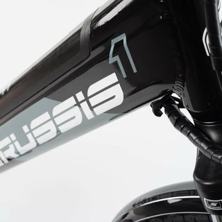 Stadt E-Bike Crussis e-City 1.15-S - model 2022