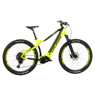 Mountain E-Bike Crussis e-Largo 9.9-L – 2024