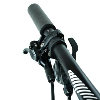 Mountain E-Bike Crussis e-Largo 9.9-M – 2024