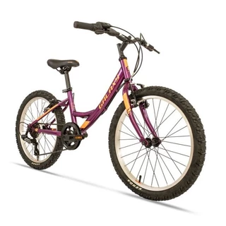 Children’s Girls’ Bike Galaxy Ida 20” – 2020