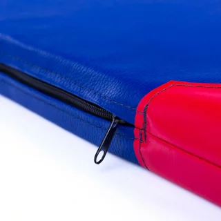 Gymnastics Mat inSPORTline Roshar T90 200 x 120 x 5 cm - Blue