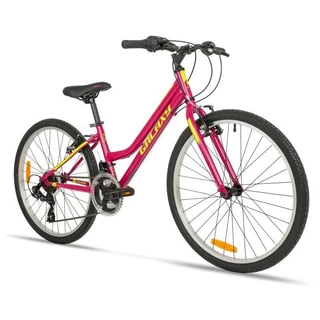 Junior Girls’ Bike Galaxy Ruby 24” – 2020
