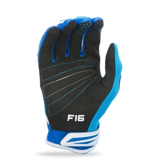 Motocross Gloves Fly Racing F-16 XVII