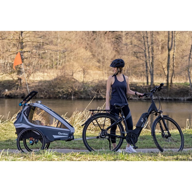 Qeridoo KidGoo 1 Sport Multifunktionaler Fahrrad-Kinderwagen