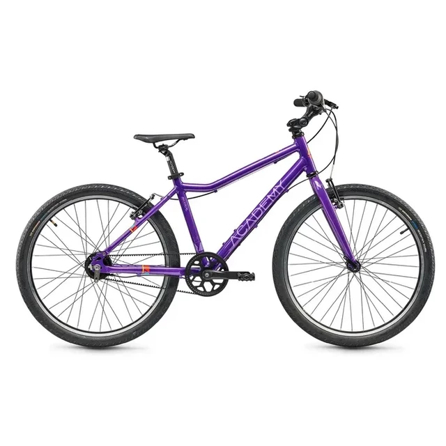Children’s Bike Academy Grade 5 Belt 24” - Purple - Purple