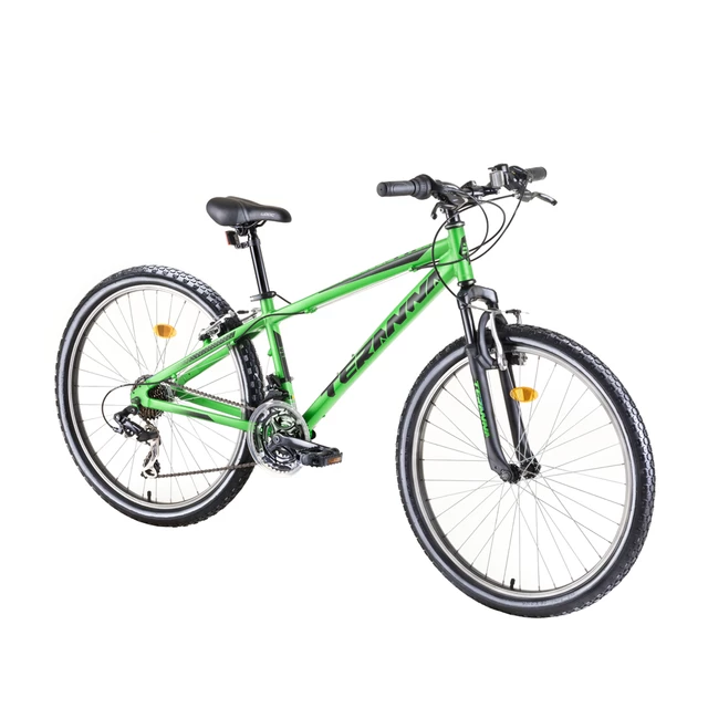 Mountain Bike DHS Teranna 2623 26” – 2019 - Green