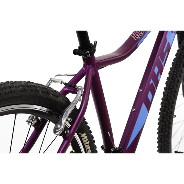 Women’s Mountain Bike DHS Terrana 2922 29” – 2021