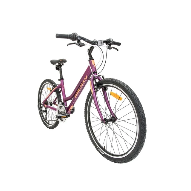 Juniorský dievčenský bicykel Galaxy Lyra 24" - model 2019