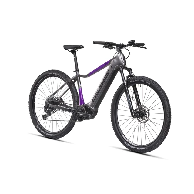 Mountain E-Bike Crussis e-Fionna 9.10 900Wh 29” – 2025