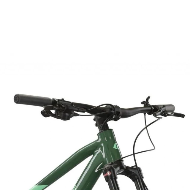 Mountainbike Kross Level 5.0 29" - Modell 2024