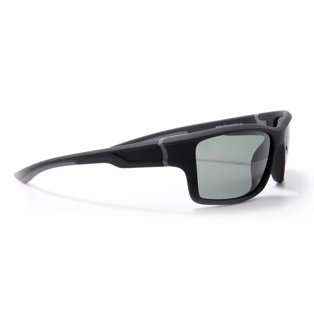 Polarized Sunglasses Bliz B Dixon