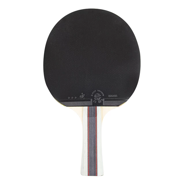 Table Tennis Set inSPORTline Reshoot S3