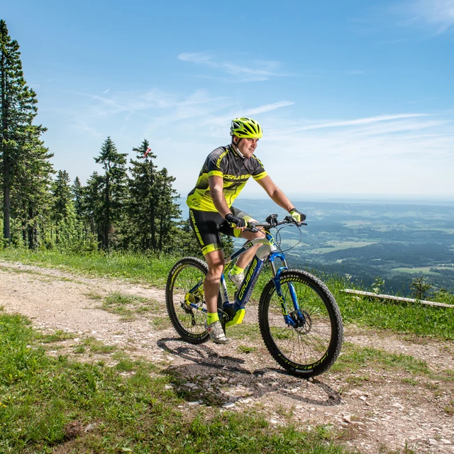 Mountain E-Bike Crussis e-Largo 10.4 – 2019
