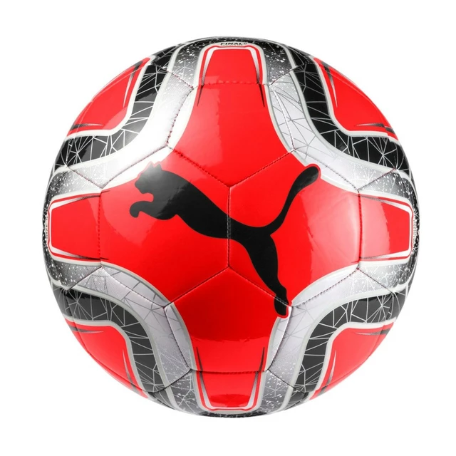 Soccer Ball Puma Final 6 MS Trainer 08291209