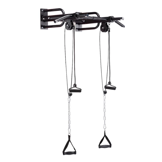 Wall-Mounted Pull-Up Bar w/ Pulleys inSPORTline RK180