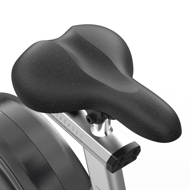 Exercise Bike inSPORTline ZenRoute 1000